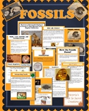 PLANTS AND ANIMALS  FOSSILS  POWERPOINT with Vocabulary Page