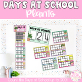 PLANTS Days at School Display | 100 Days of School
