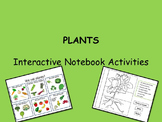 PLANTS - Interactive Notebook Activities