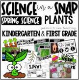 PLANTS! ~ Science in a Snap!