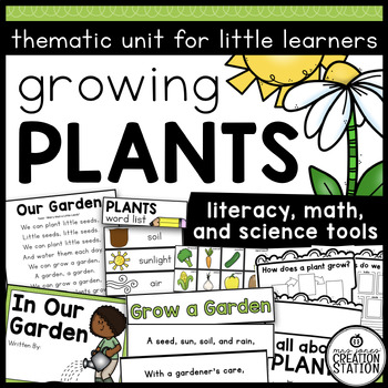 Preview of PLANTS SCIENCE ACTIVITIES AND LESSON PLANS, PLANT LIFE CYCLE FOR  KINDERGARTEN
