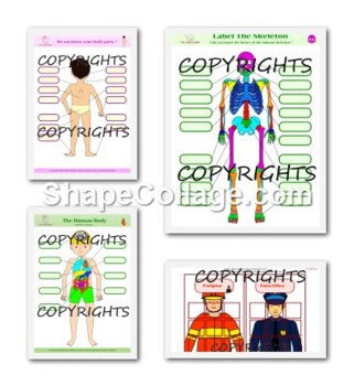 Preview of BUNDLE: busy binder, adapted book, work binder, preschool, autism, ABA,161 PAGES