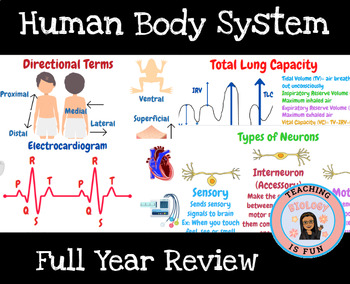 Preview of PLTW Human Body Systems-Full Year Review (Updated Curriculum)