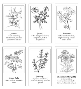 Preview of PLants Herbs Bookmark