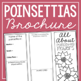 POINSETTIA FLOWER History of Christmas Symbols Project | C