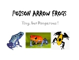 POISON ARROW FROGS - TINY BUT DANGEROUS (Article & worksheet)