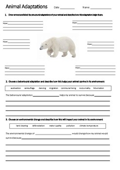 animal adaptation polar bear