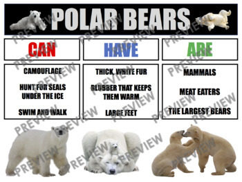 Preview of POLAR BEARS Anchor Chart