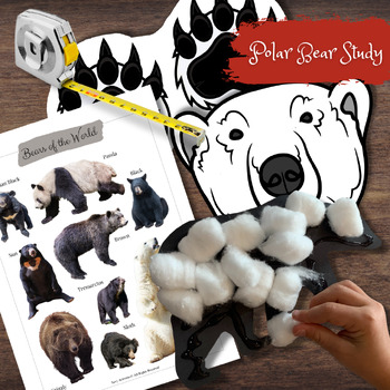 Preview of POLAR BEAR Measuring Activity Cotton-ball Craft & Bears of the World Poster