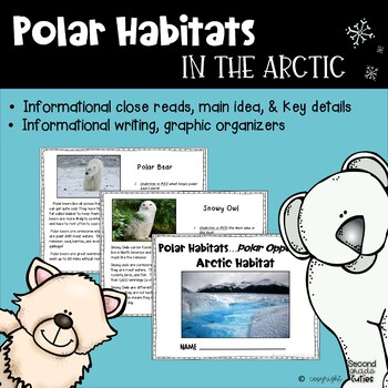 Preview of POLAR BEARS live at the North Pole! An Arctic Habitat
