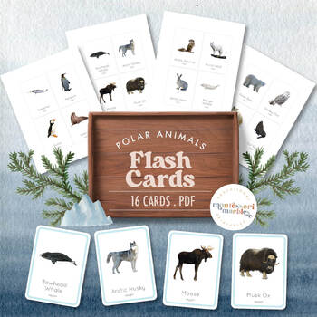 Preview of POLAR ANIMALS Flash Cards | Winter Activity | Montessori Printable