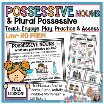 plural nouns and possessive noun worksheets teaching resources tpt