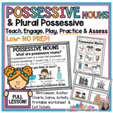 Possessives & Plural Possessive Nouns | Lesson | Activitie