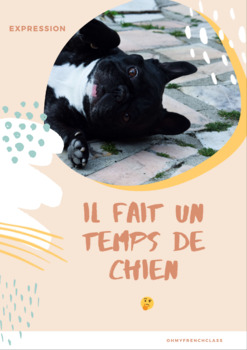 Preview of POSTER - French idiom : "il fait un temps de chien"