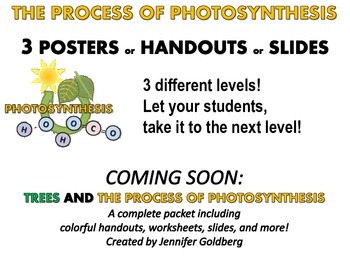 Preview of POSTERS: Photosynthesis
