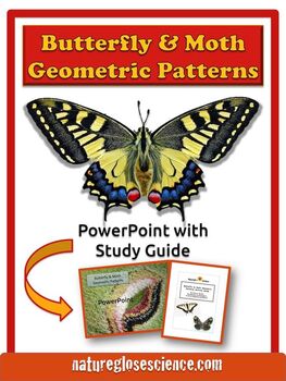 Preview of Math Art Geometry in Nature PowerPoint Thematic Unit Plan