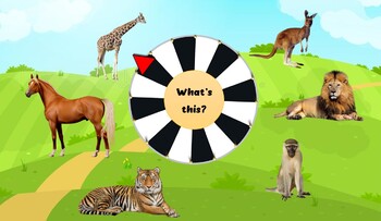 Zoo Animals Presentation Teaching Resources | TPT