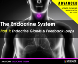 PPT - Endocrine System ADVANCED + Student Notes - Distance