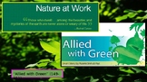 PPT Presentation - "Allied with Green"