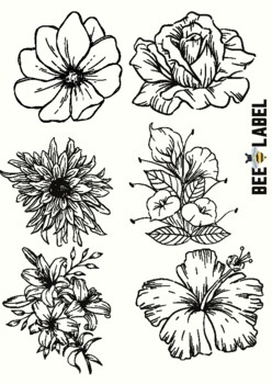 PRE-K TO 6TH GRADE FLORAL COLORING SHEETS by Bio-Art Fusion | TPT