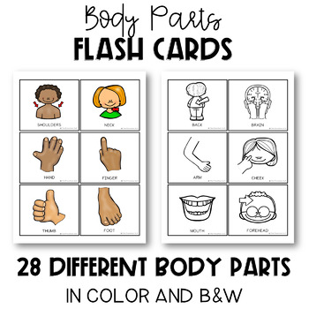 body parts QUESTION CARDS GAME Autism/Special Needs 