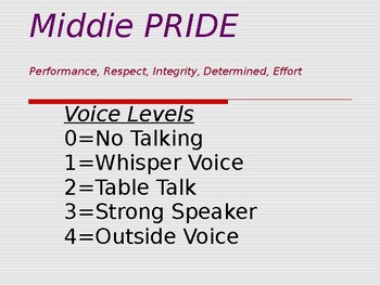 Preview of PRIDE Behavior PowerPoint