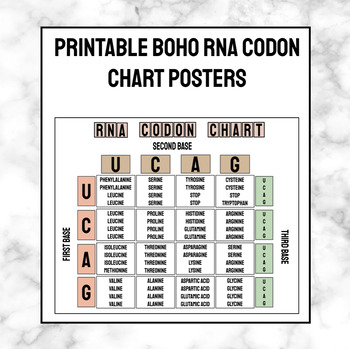 Preview of PRINTABLE BOHO RNA Codon Chart