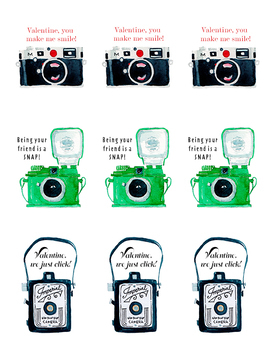Preview of PRINTABLE Camera Valentines