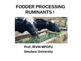 PROCESSING FODDER FOR DRY SEASON FEEDING