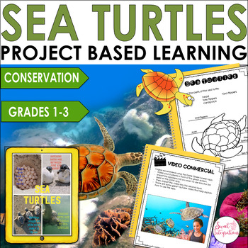 Preview of Sea Turtles - Project Based Learning Science - Conservation Activities