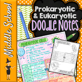 Prokaryotic and Eukaryotic Cells Doodle Notes | Science Do