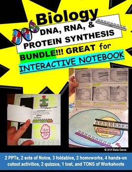 Preview of DNA, RNA, & PROTEIN SYNTHESIS Notes, PowerPoints, & Activities