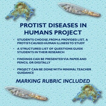 Preview of Protists Diseases In Humans Research Project (Protists and Microbiology)
