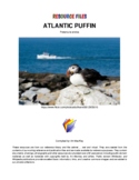 PUFFIN RESOURCE FILES