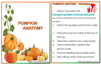 Preview of PUMPKIN ANATOMY for ELEMENTARY GRADES