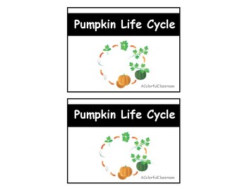 Preview of PUMPKIN LIFE CYCLE