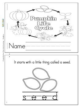 Preview of PUMPKIN LIFE CYCLE BOOKLET