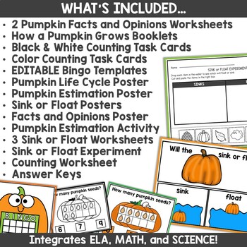 Pumpkin Science Activities Kindergarten and First Grade by Oink4PIGTALES