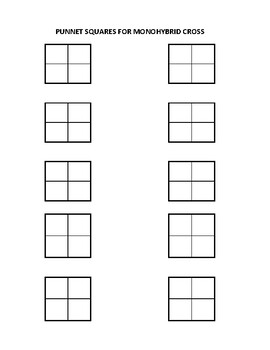 punnett square template