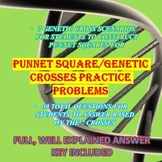 Punnett Square/Genetic Crosses Worksheet (Punnett Squares 