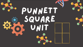 Preview of PUNNETT SQUARE BUNDLE:  9 LESSONS