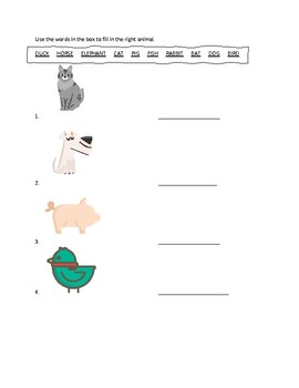 Preview of PUT THE ANIMAL NAME TO THE RIGHT PICTURES.