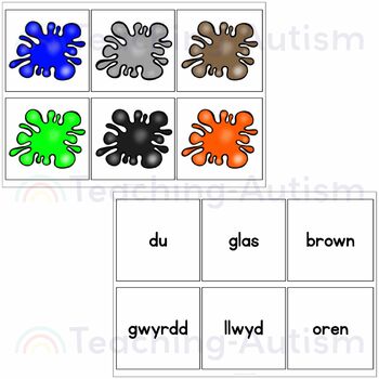 Pa Liw? Welsh Colour Names Matching Word to Picture by Teaching Autism