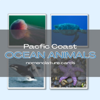 Preview of Ocean Animals (Pacific Coast)