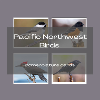 Preview of Pacific Northwest Birds Nomenclature Cards