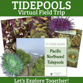 Pacific Northwest Tidepools: Virtual Field Trip
