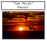 "The Veldt" Close Reading Packet