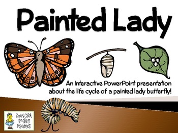 Preview of Painted Lady Butterflies ~ An Interactive Presentation of Their Life Cycle