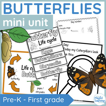 Preview of Painted Lady Butterfly Life Cycle Activities and Caterpillar Observation Journal