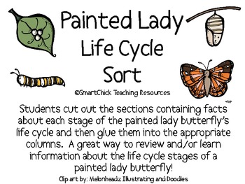 Preview of Painted Lady Butterfly Life Cycle Sort Packet